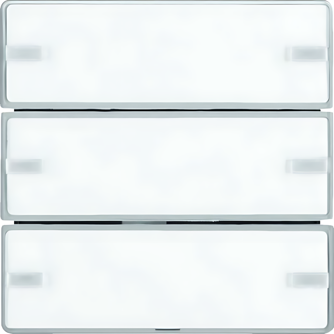 Berker Taster 80143321