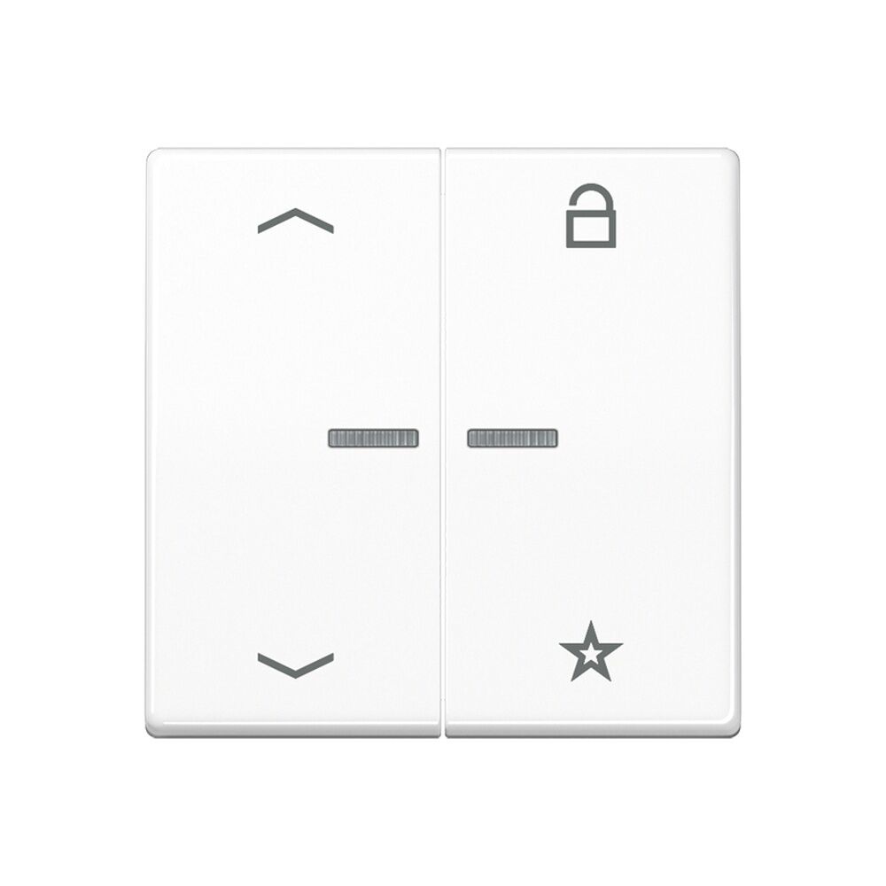 Jung eNet Funk Steuertaste FMAS1701PWW