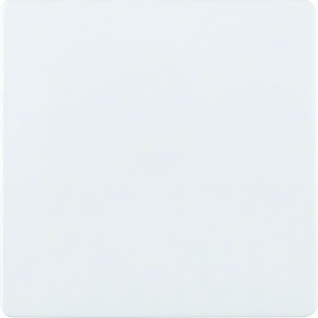 Berker Zentralplatte 75940409