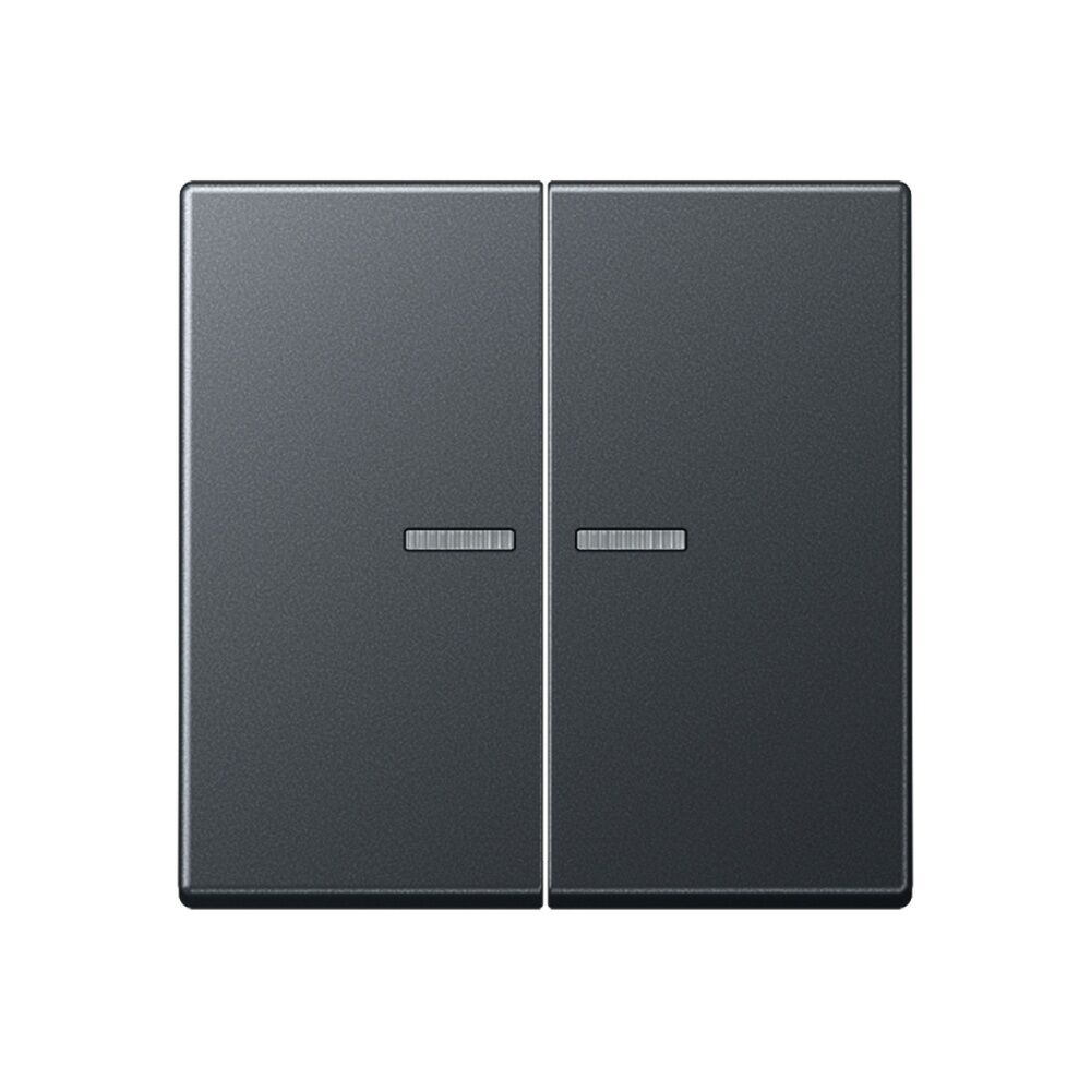 Jung Serienwippe m. Lichtleiter A102KO5BFANM