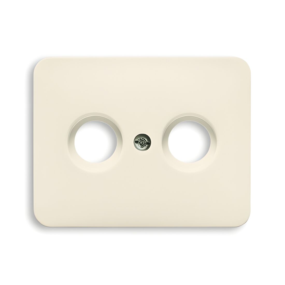 Busch-Jaeger Zentralscheibe 1743-22G Nr. 2CKA001710A2454