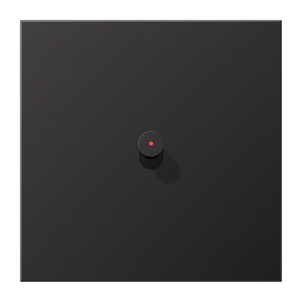 Jung Abdeckung m. Kipphebel AL12-0KODK01