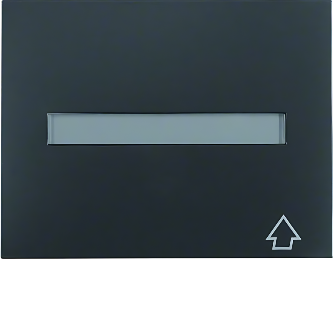 Berker Zwischenring 11547106 