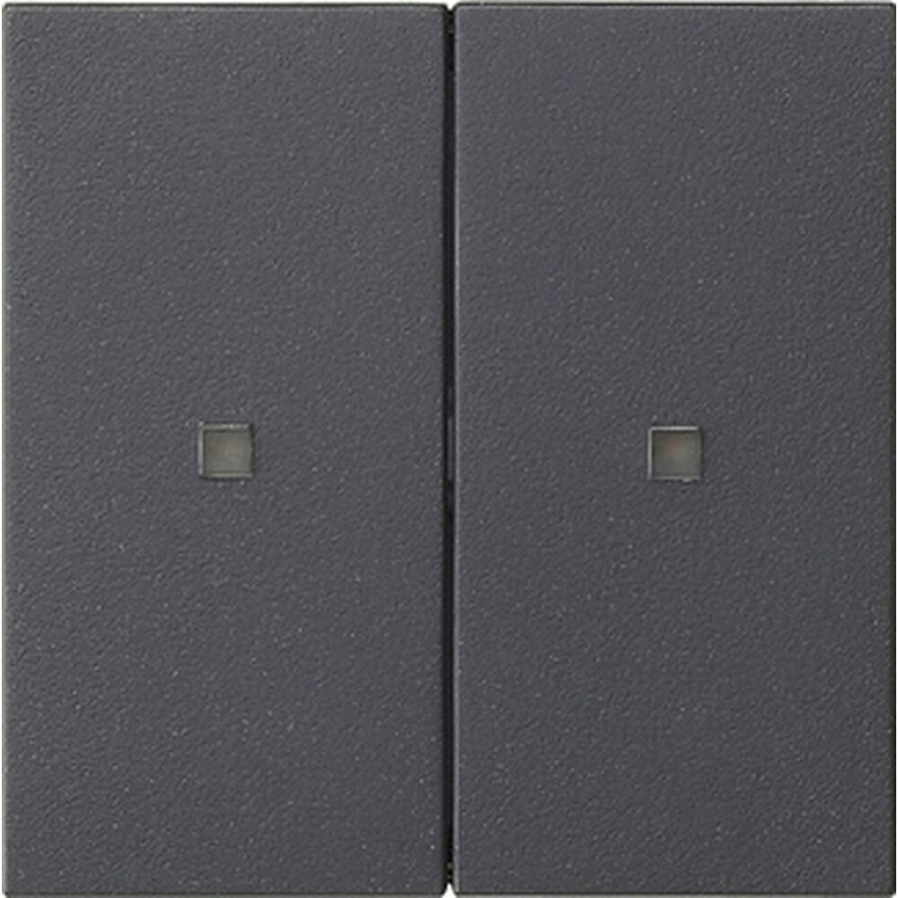 Gira Wippe 2fach 536928