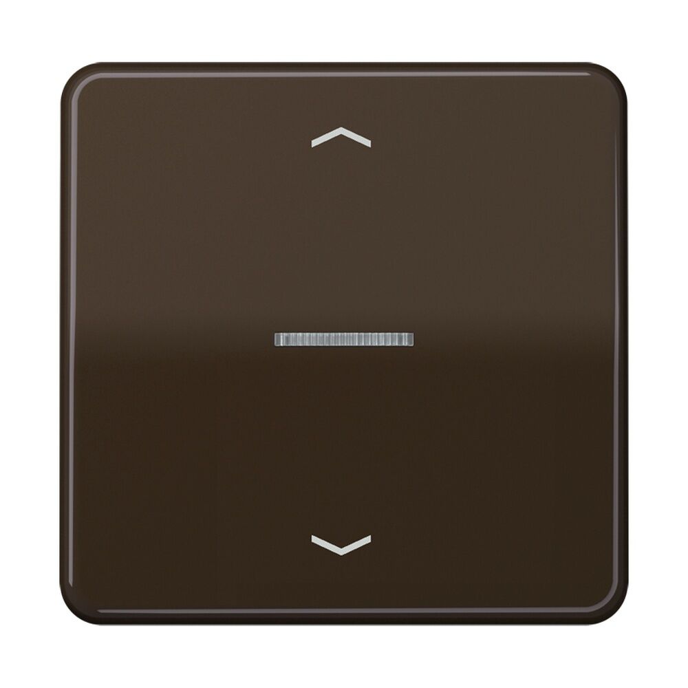 Jung JUNG HOME Taster BTCD17101PBR