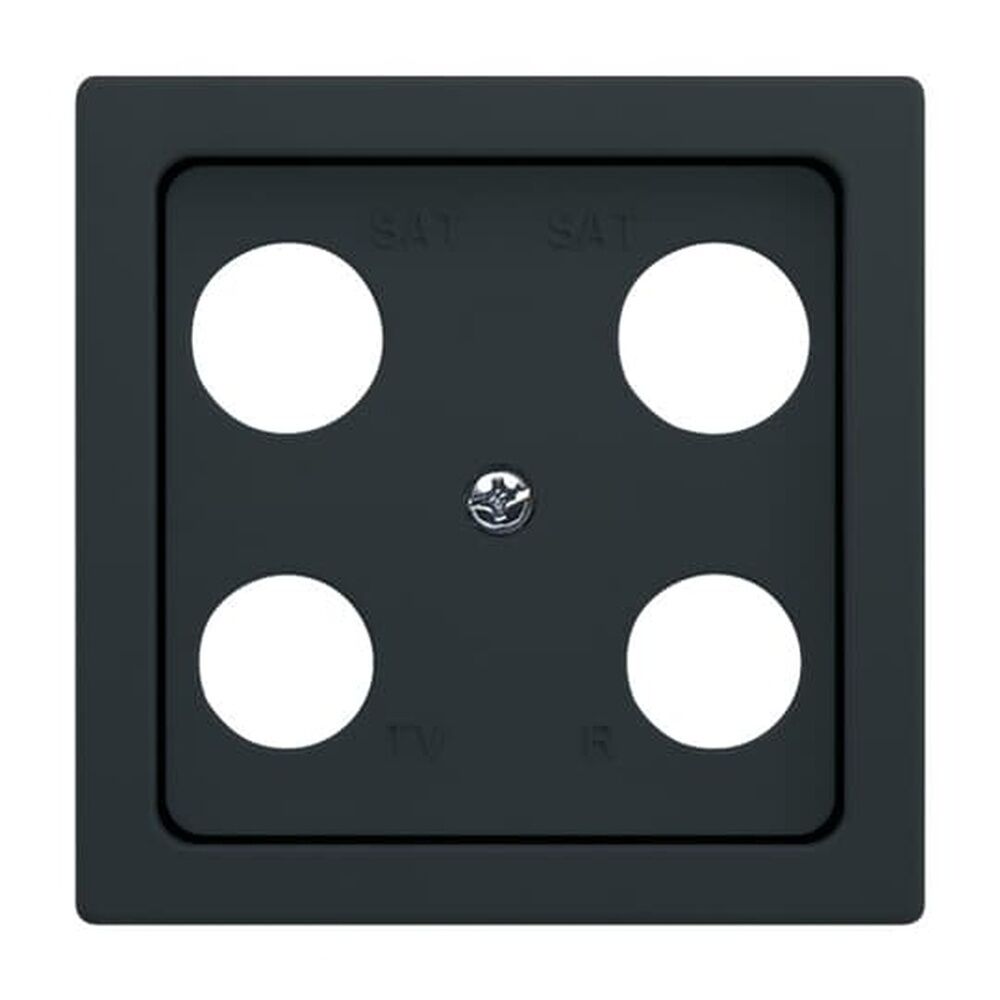 Busch-Jaeger Zentralscheibe 1743-04-81 Nr. 2CKA001724A4374