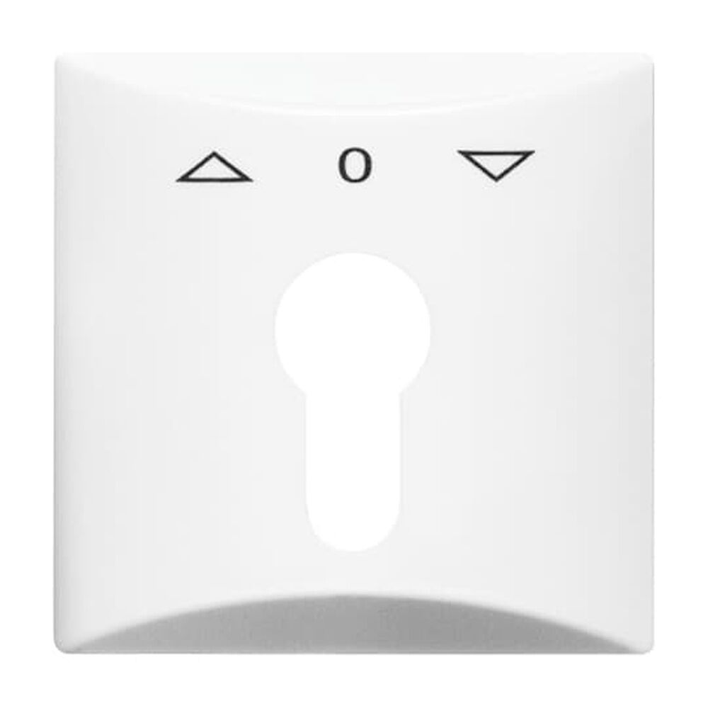 Busch-Jaeger Zentralscheibe 2155 PZ-34 Nr. 2CKA001710A1829