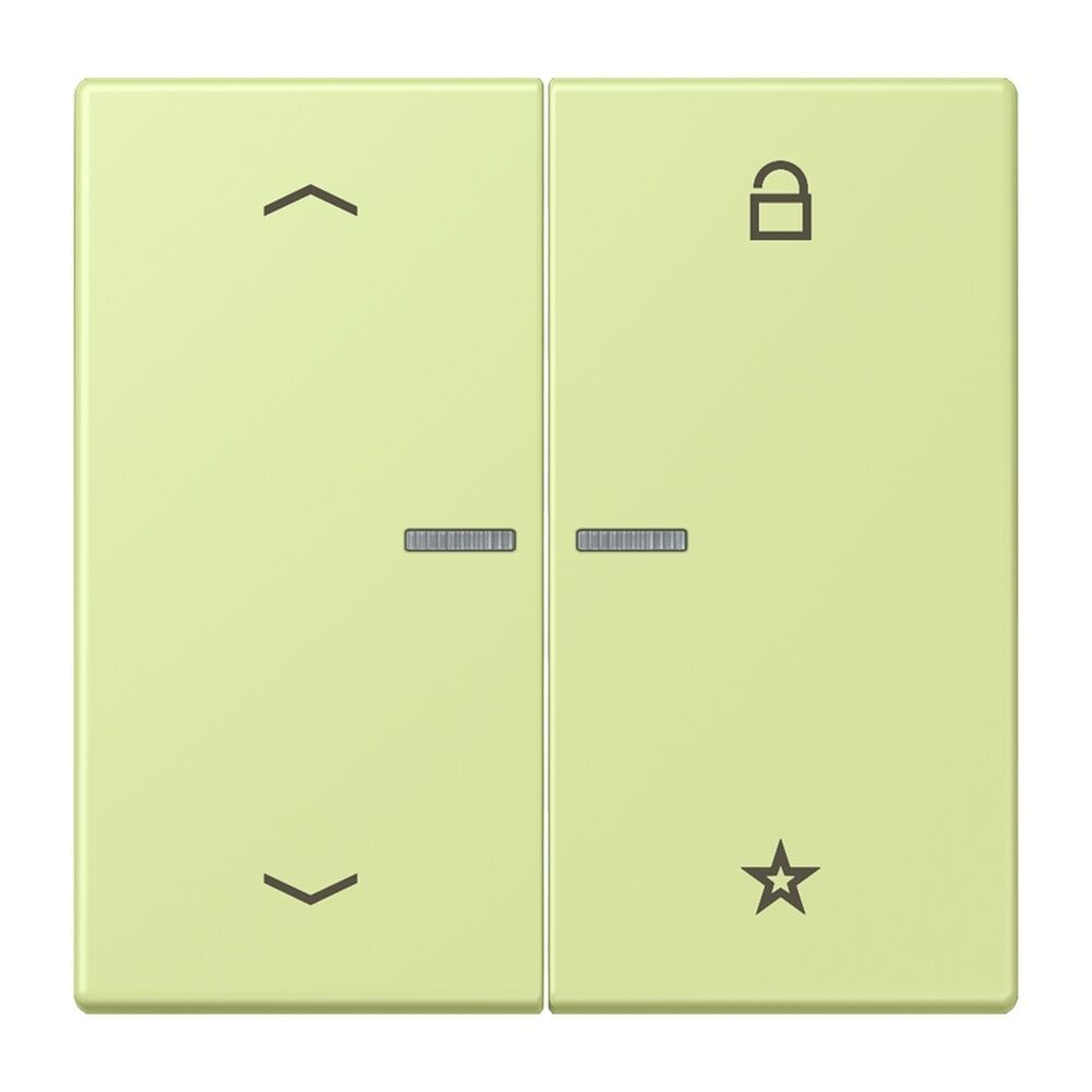 Jung Taster FMLC1701P222