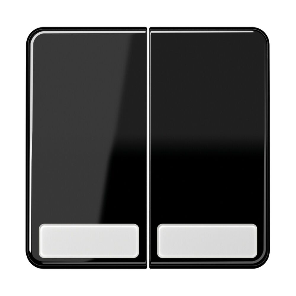 Jung Wippe CD 595 NA SW