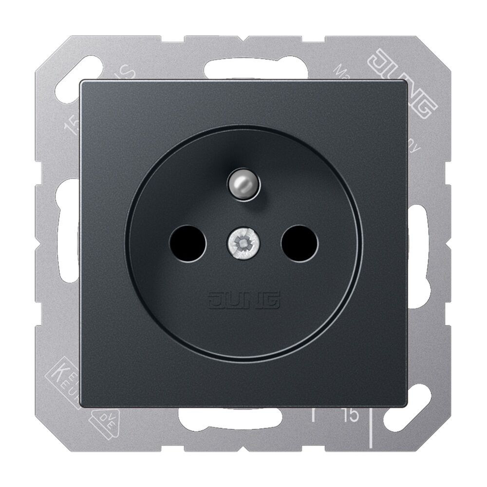 Jung Steckdose A 1520 FBFKI ANM