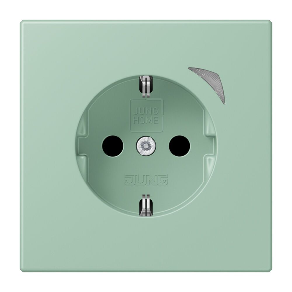 Jung JUNG HOME SCHUKO Steckdose BTLC1521SE217 