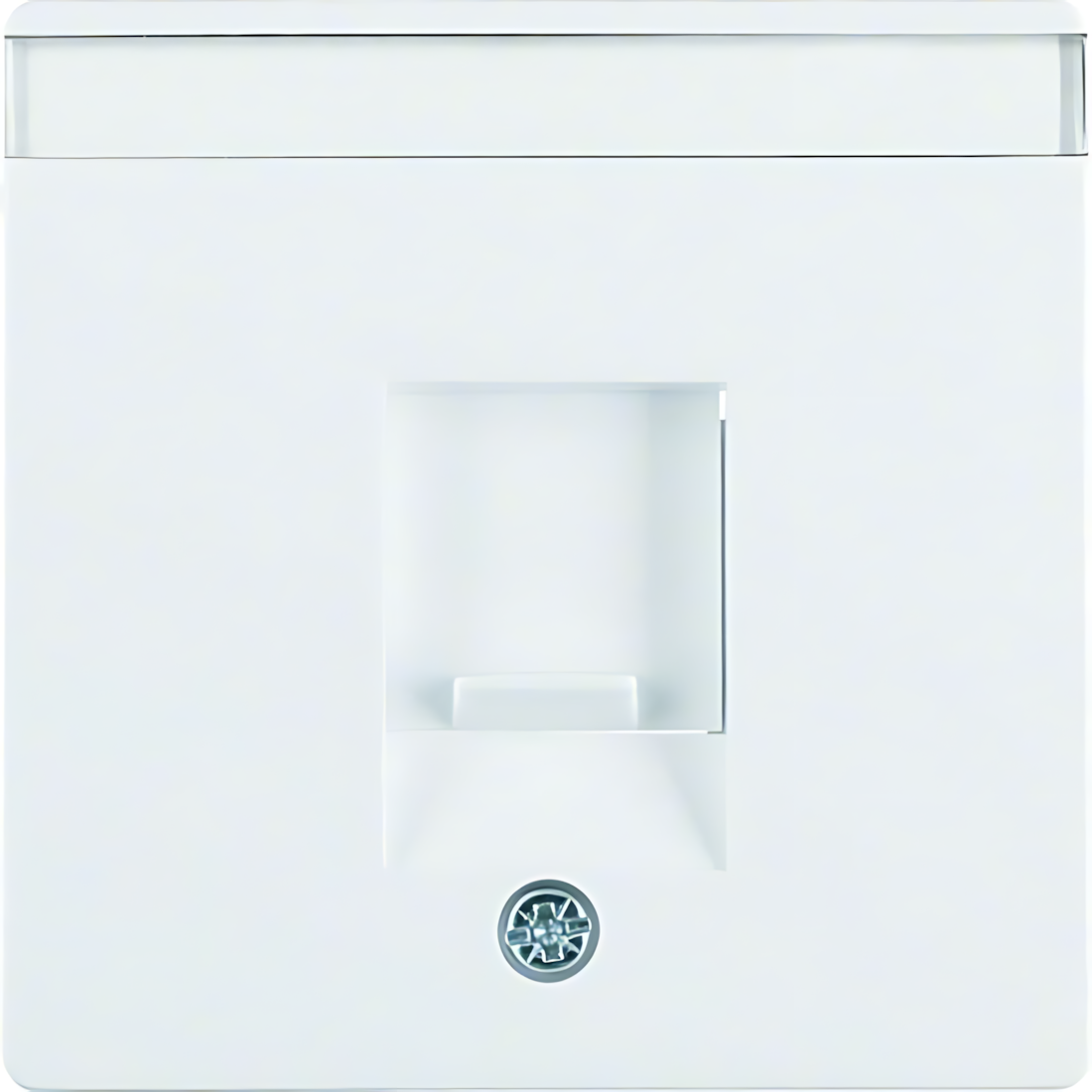 Berker Zentralstück 11706089 