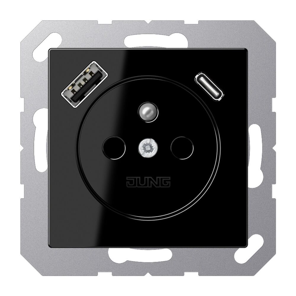 Jung Steckdose A1520F-15CASW