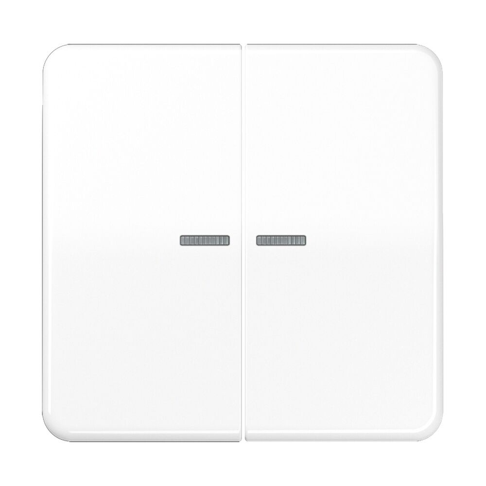 Jung Wippe CD 595 KO5BF WW