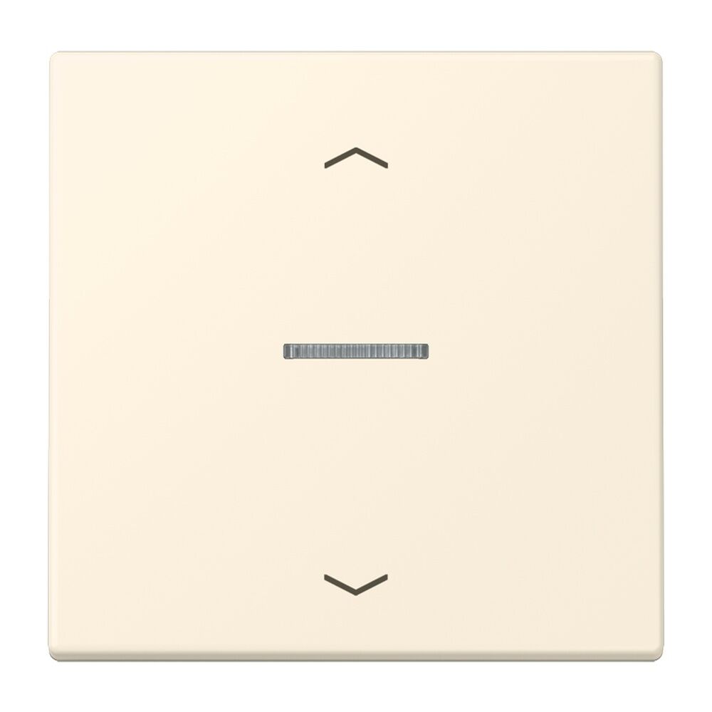 Jung JUNG HOME Taster BTLC17101P245 