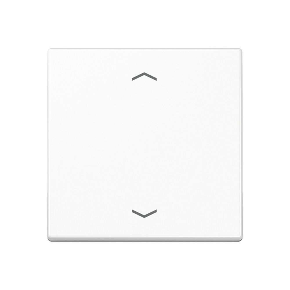 Jung Steuertaste A1700BFPWW