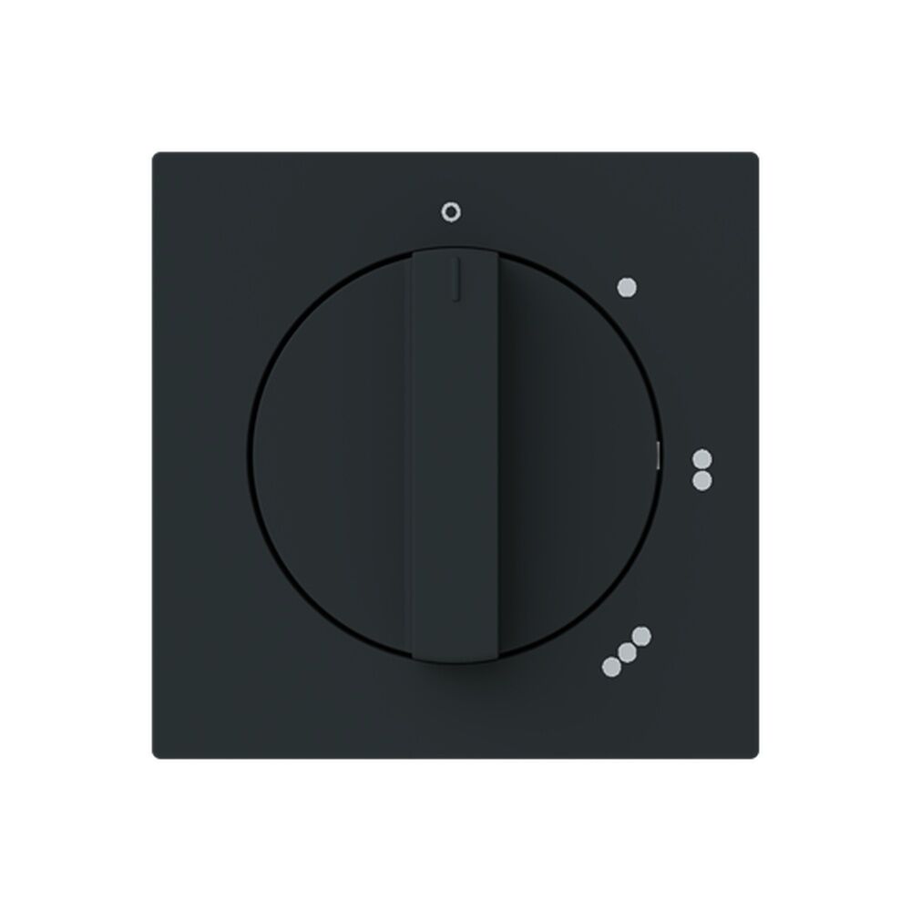 Busch-Jäger Zentralscheibe 2542 DR/01-45M Nr. 2CKA001710A4152