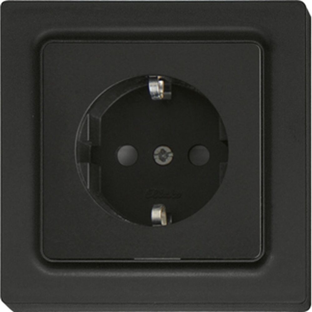 ELTAKO Schutzkontakt Steckdose 30055898 Typ DSS55E-am
