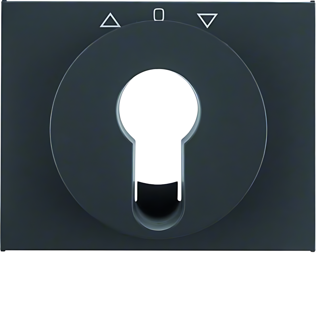 Berker Zentralstück 15047106