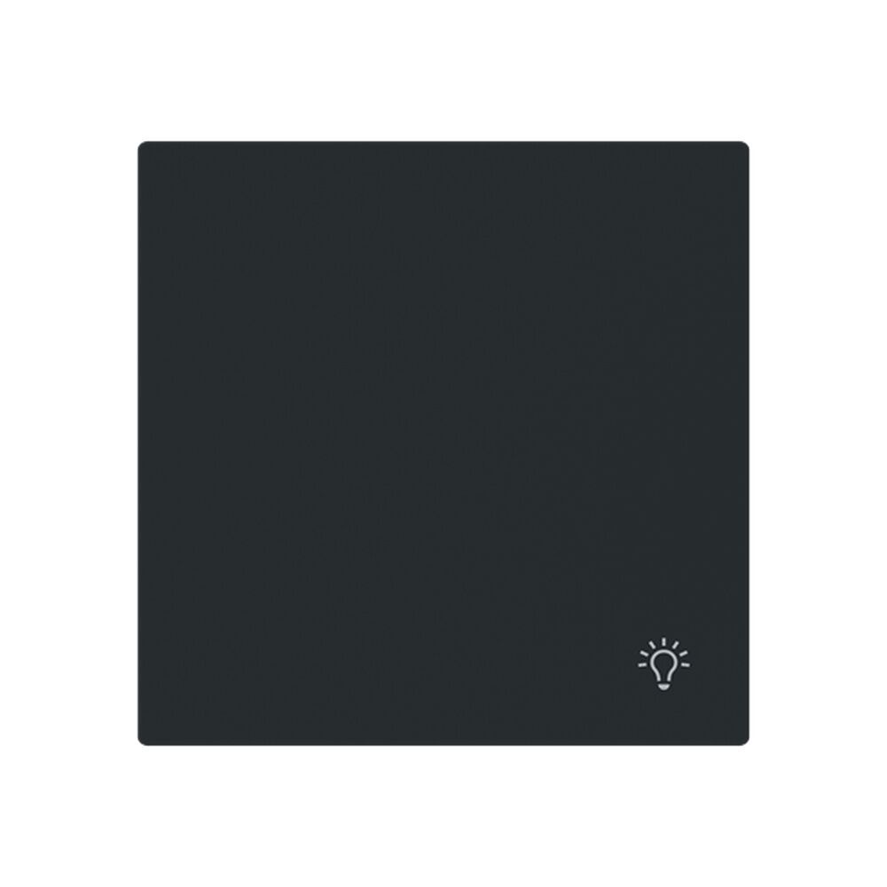 Busch-Jaeger Wippe 2520 LI-45M Typ 2CKA001751A3348