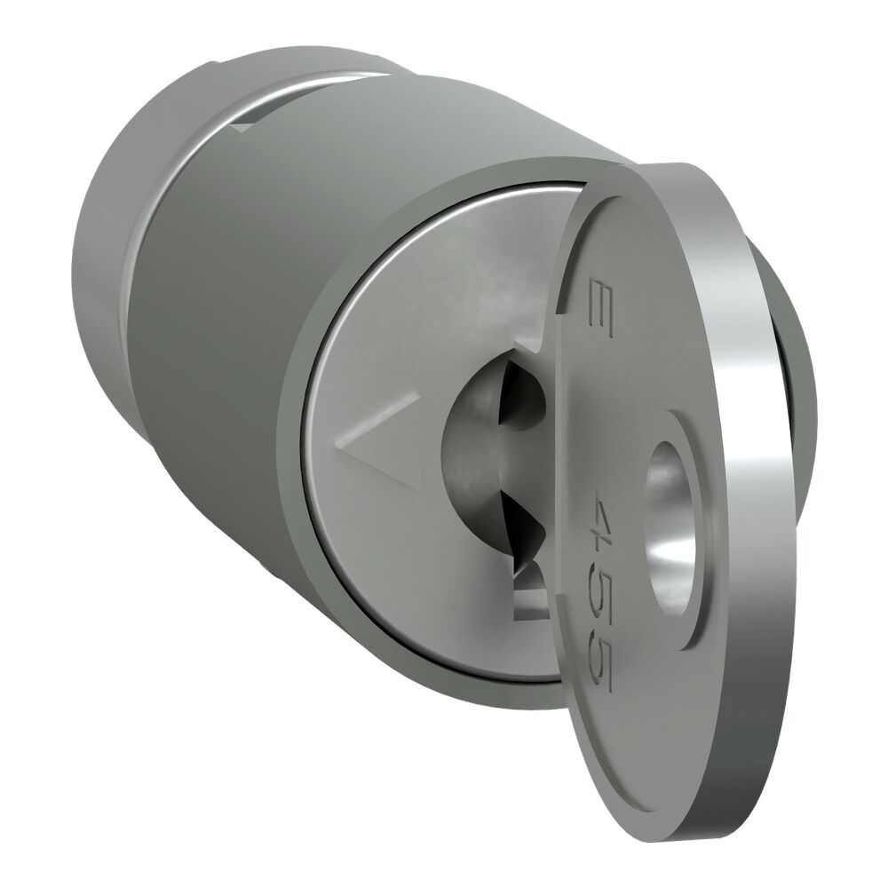 Schneider Electric Zylinderschloss LVS07941