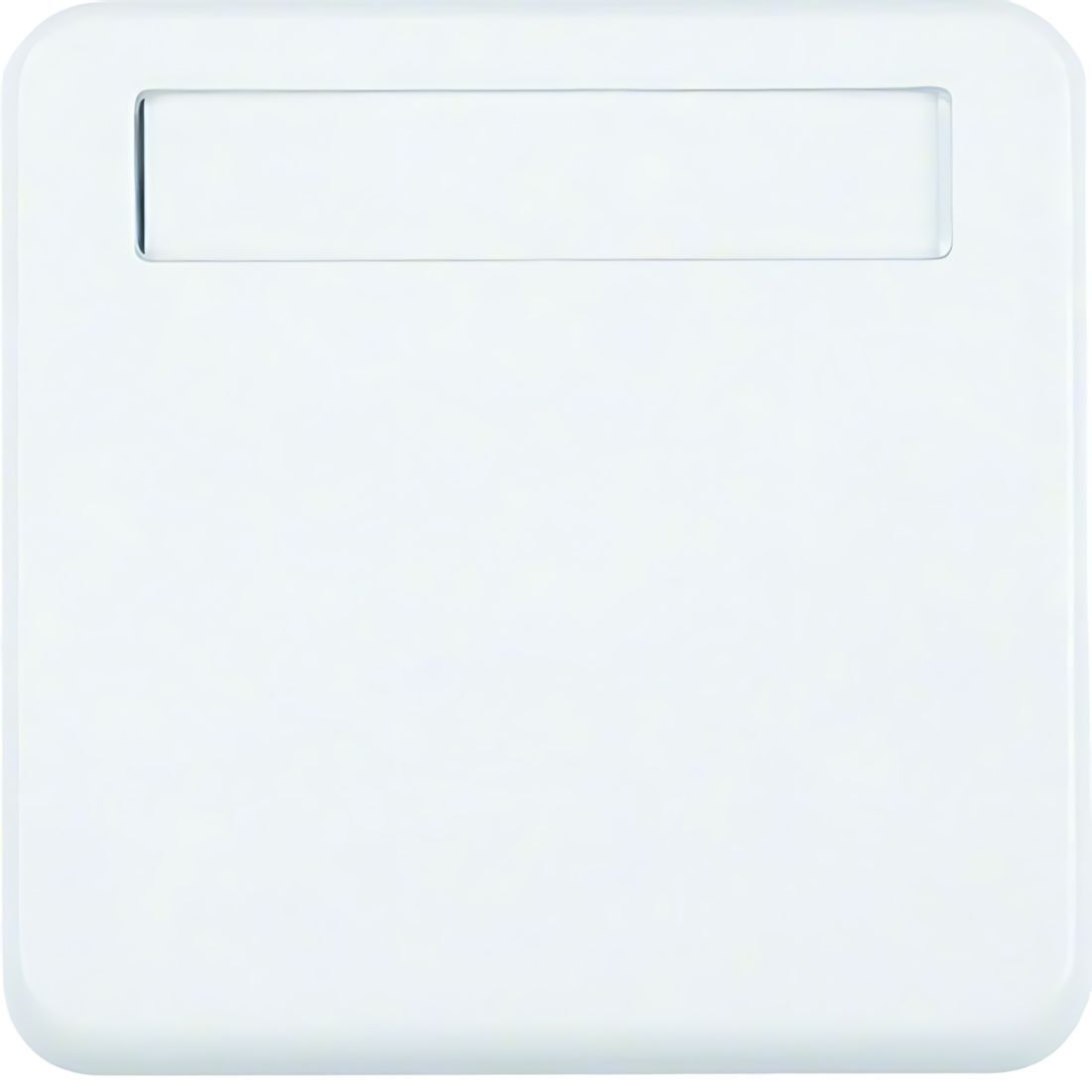 Berker Zwischenring 102259