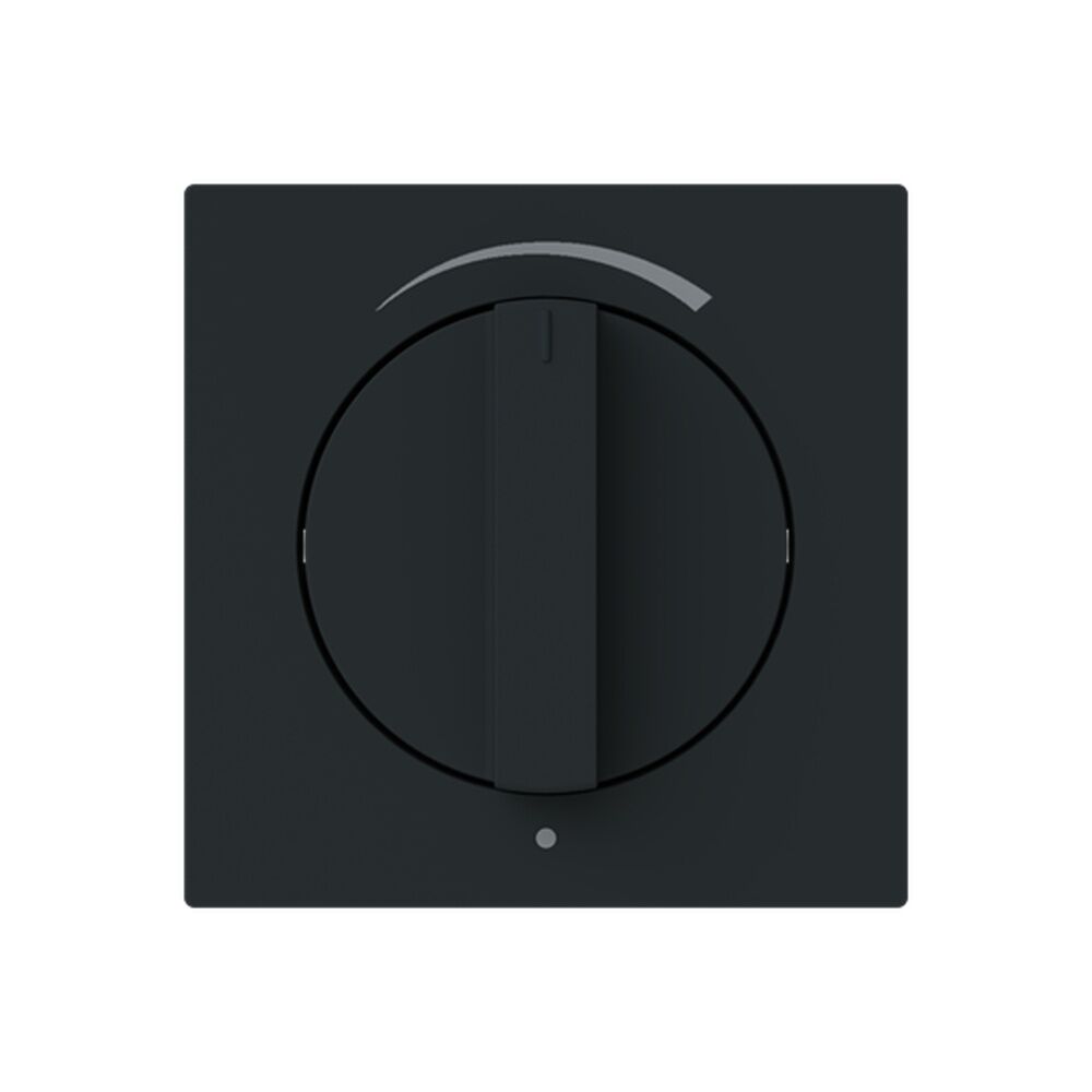 Busch-Jäger Zentralscheibe 1740 DR/03-45M Nr. 2CKA001710A4140