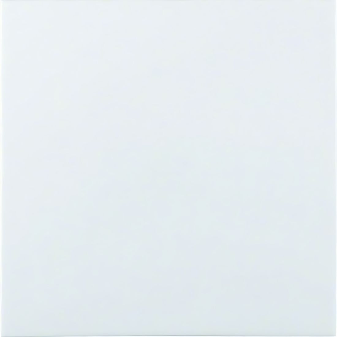 Berker Blindverschluss 75940259