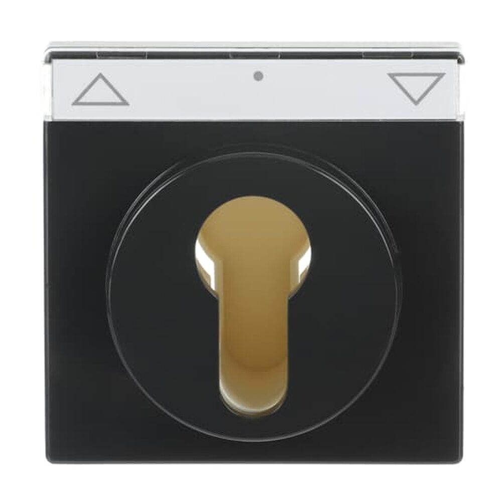 Busch-Jaeger Zentralscheibe 1755 SL/PZ-81-101 Nr. 2CKA001710A3626