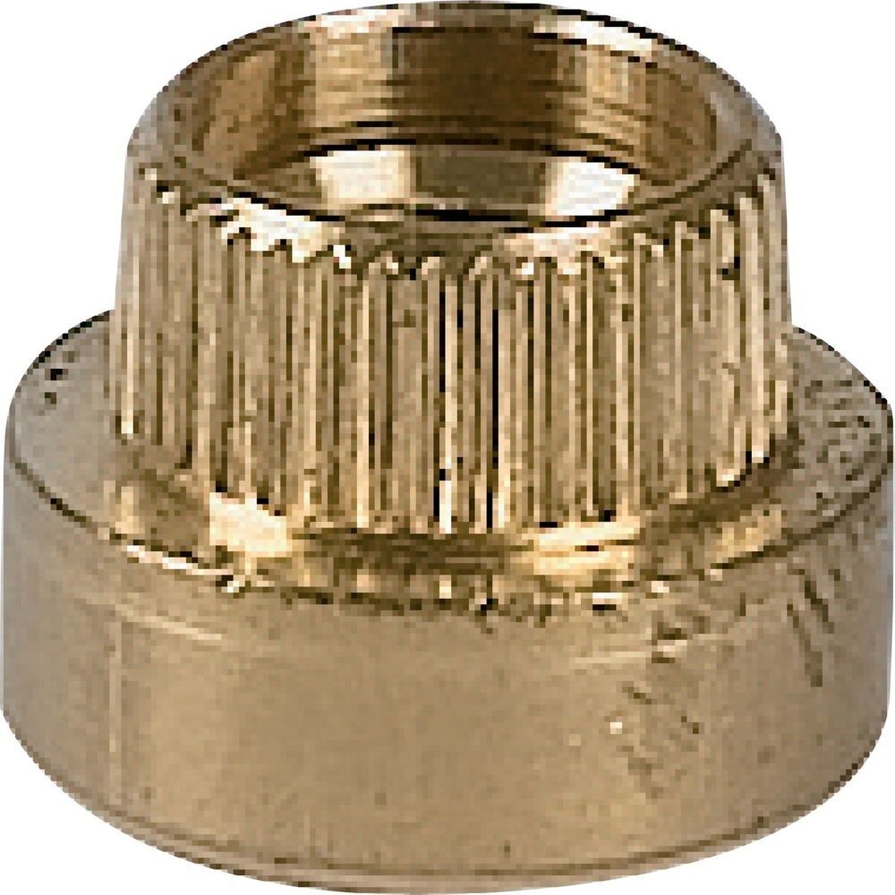 Eaton Einschlagmutter 002294 Typ EM5-CI