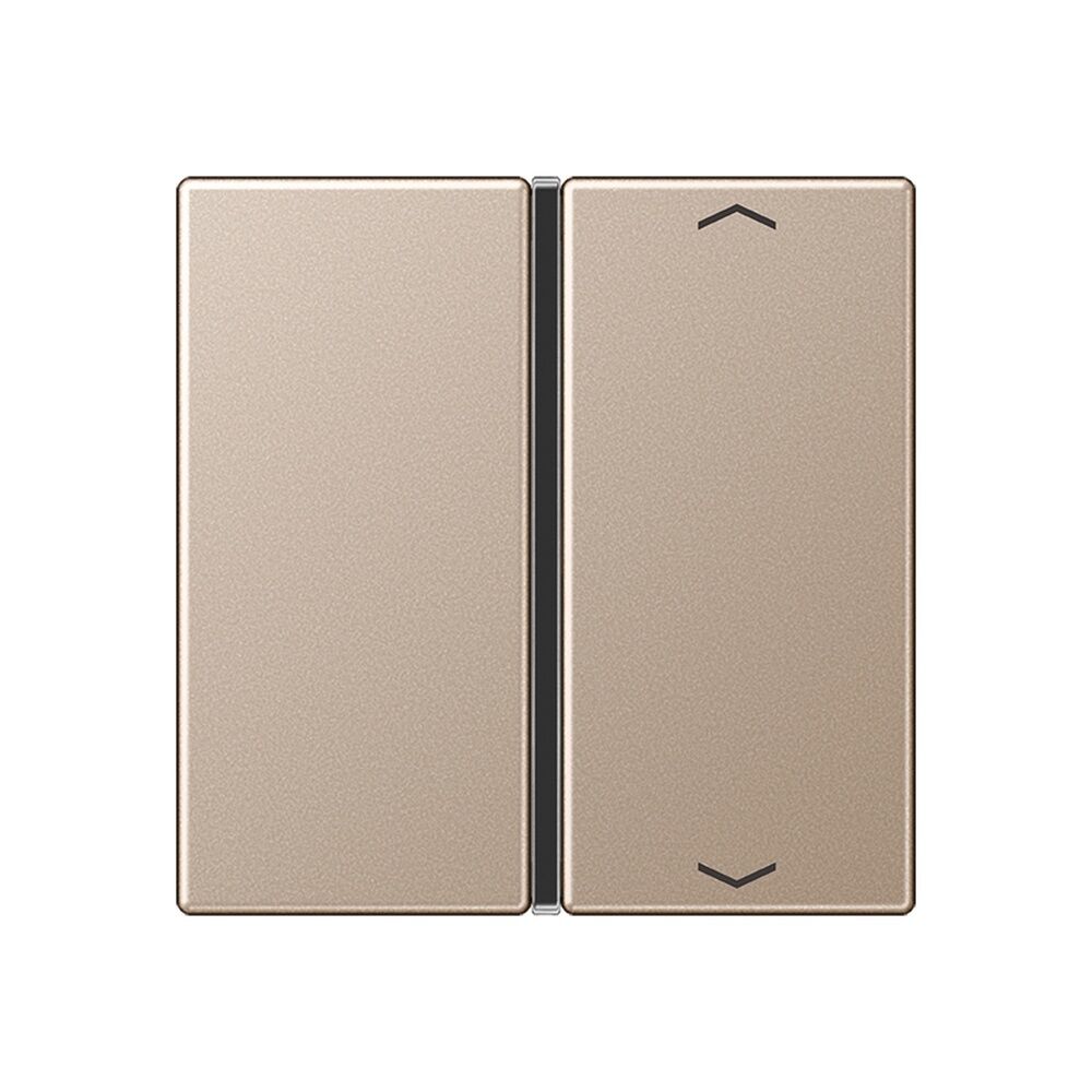 Jung Taste 1fach A 401 TSAP CH