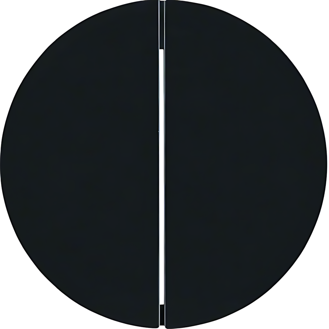 Berker Wippen 16232045 