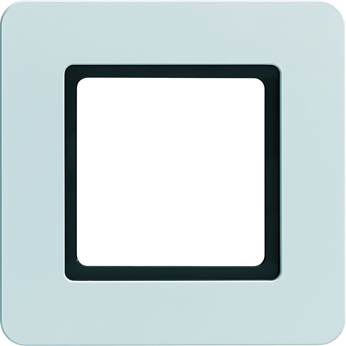 Berker Rahmen 1fach 10116174