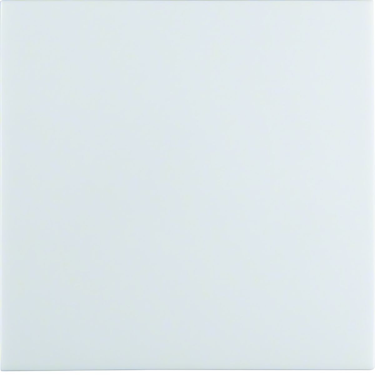 Berker Wippe 16298989