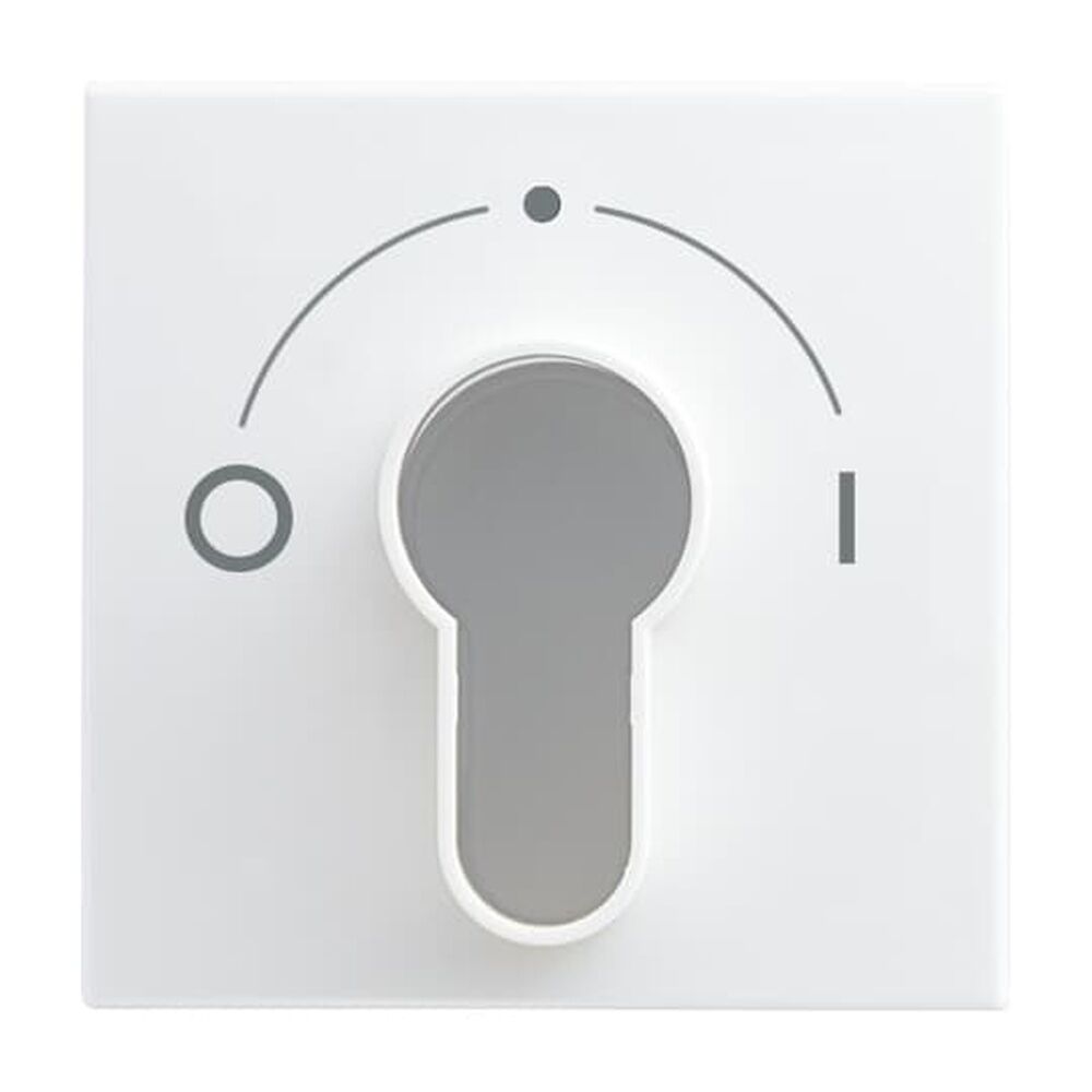 Busch-Jaeger Zentralscheibe 2557 SLPZ-914-101 Nr. 2CKA001710A4070