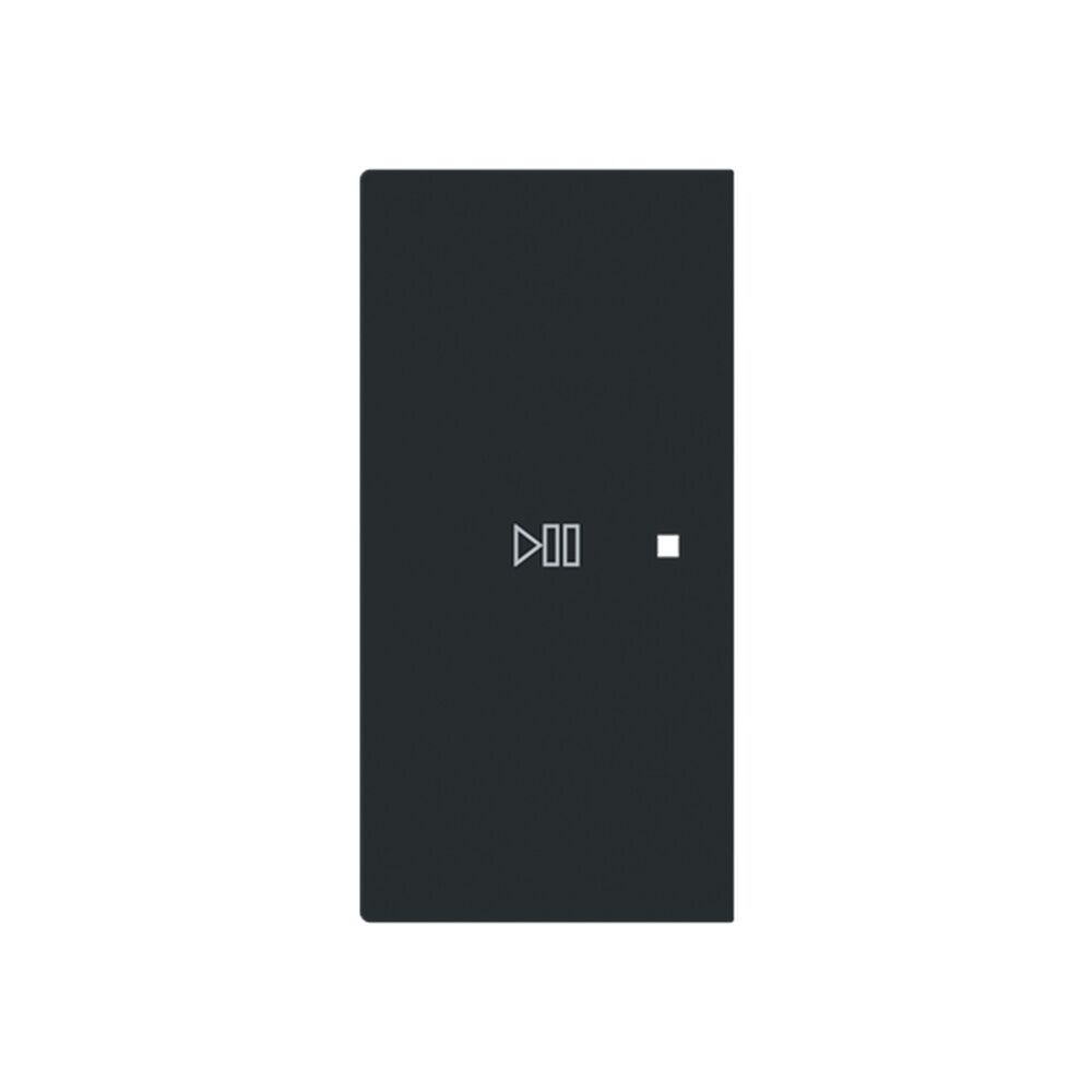 Busch-Jaeger Wippe 6237-21-45M Typ 2CKA006220A0979