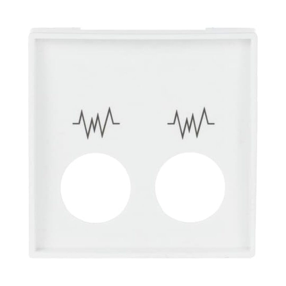 Busch-Jaeger Zentralscheibe 2548-021 G-84 Nr. 2CKA001724A4386