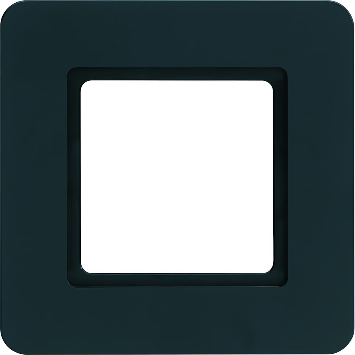 Berker Rahmen 1fach 10116106