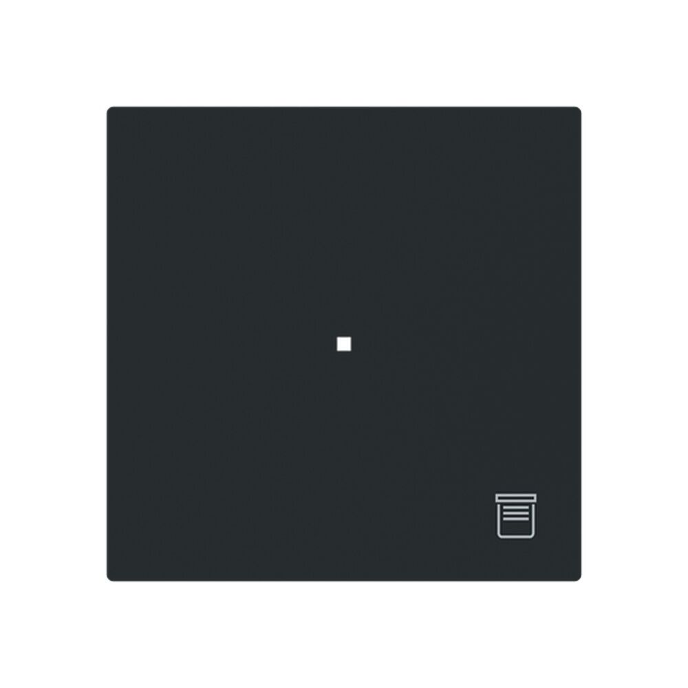 Busch-Jaeger Wippe 6232-10-45M Typ 2CKA006220A0939