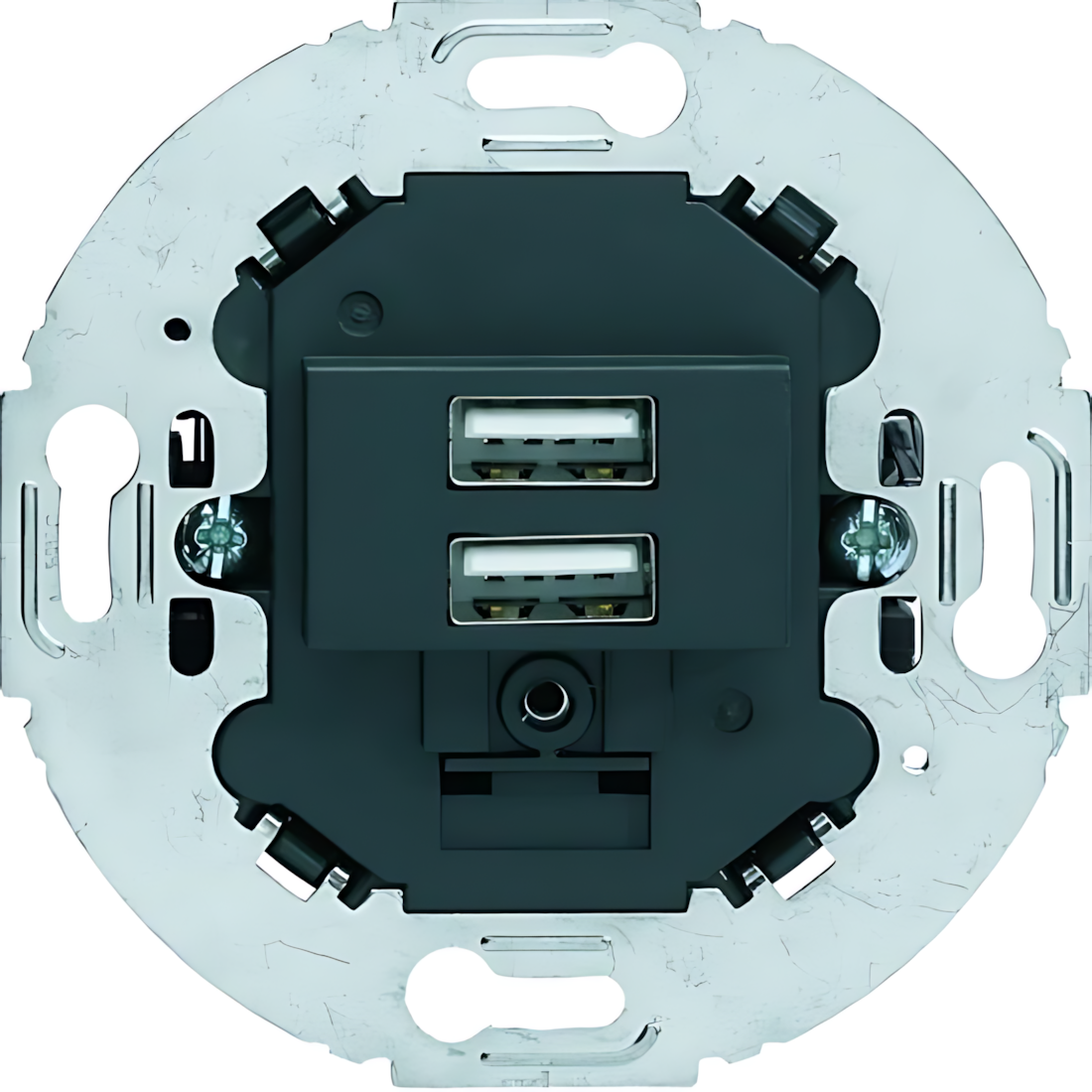 Berker USB Ladesteckdose 260215