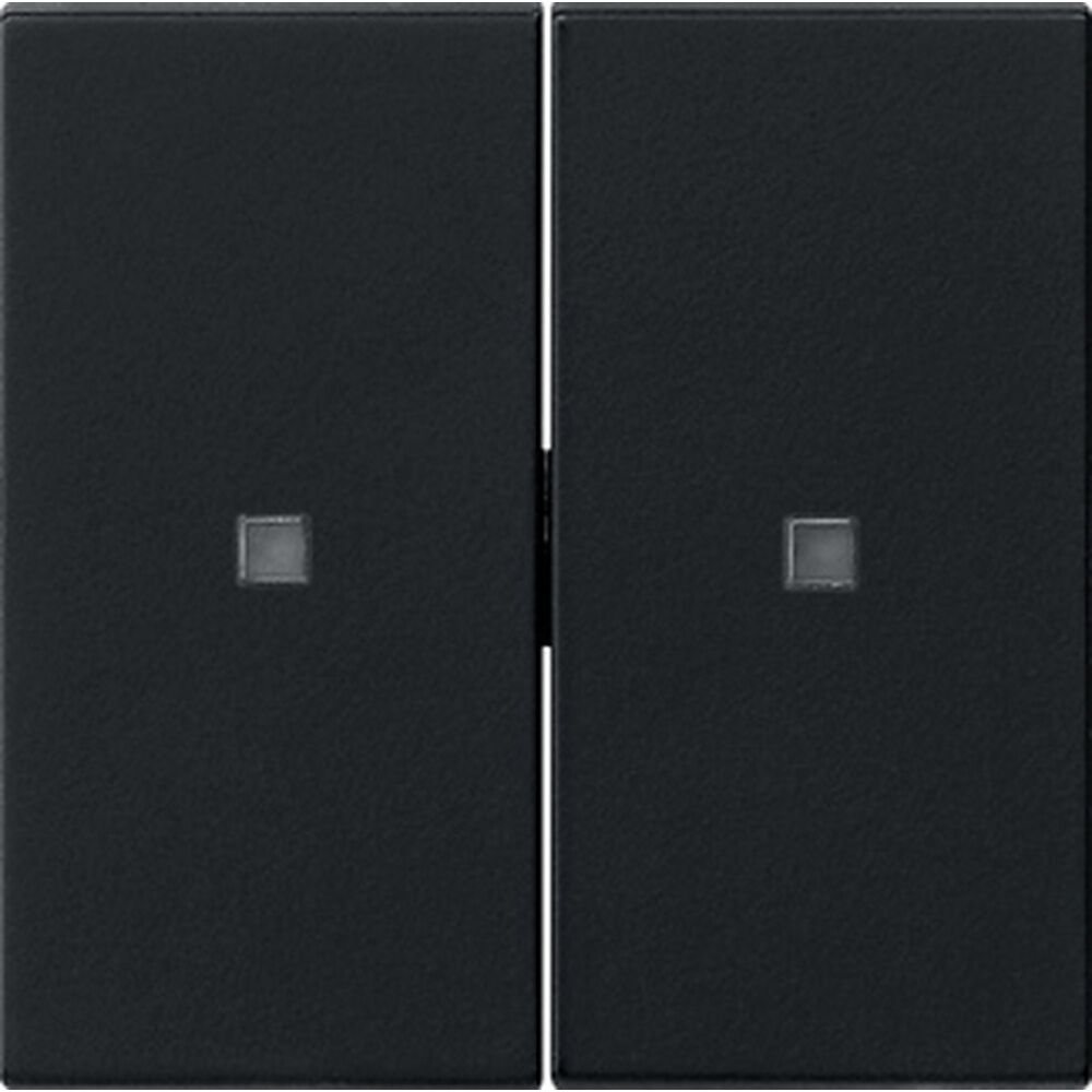 Gira Wippe 2fach 5369005