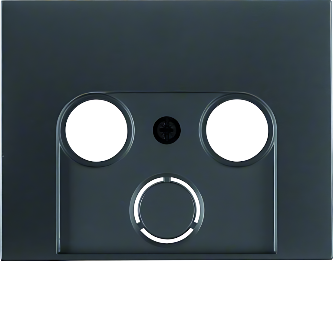 Berker Zentralstück 12017016 