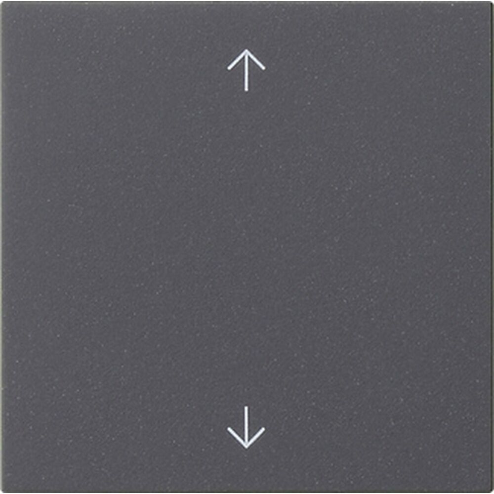 Gira Wippe 1fach 538928