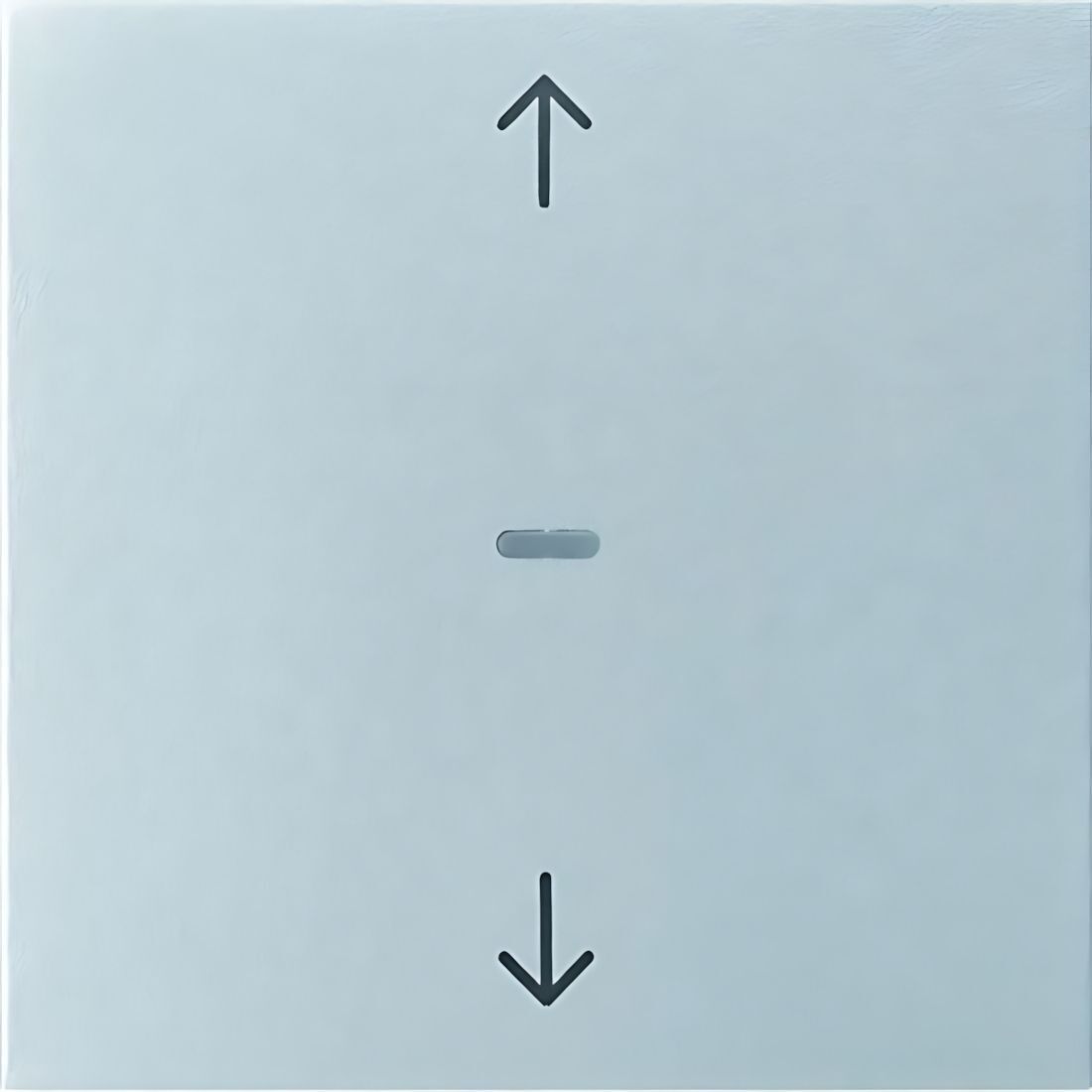 Berker Tastsensor Abdeckung 80961283