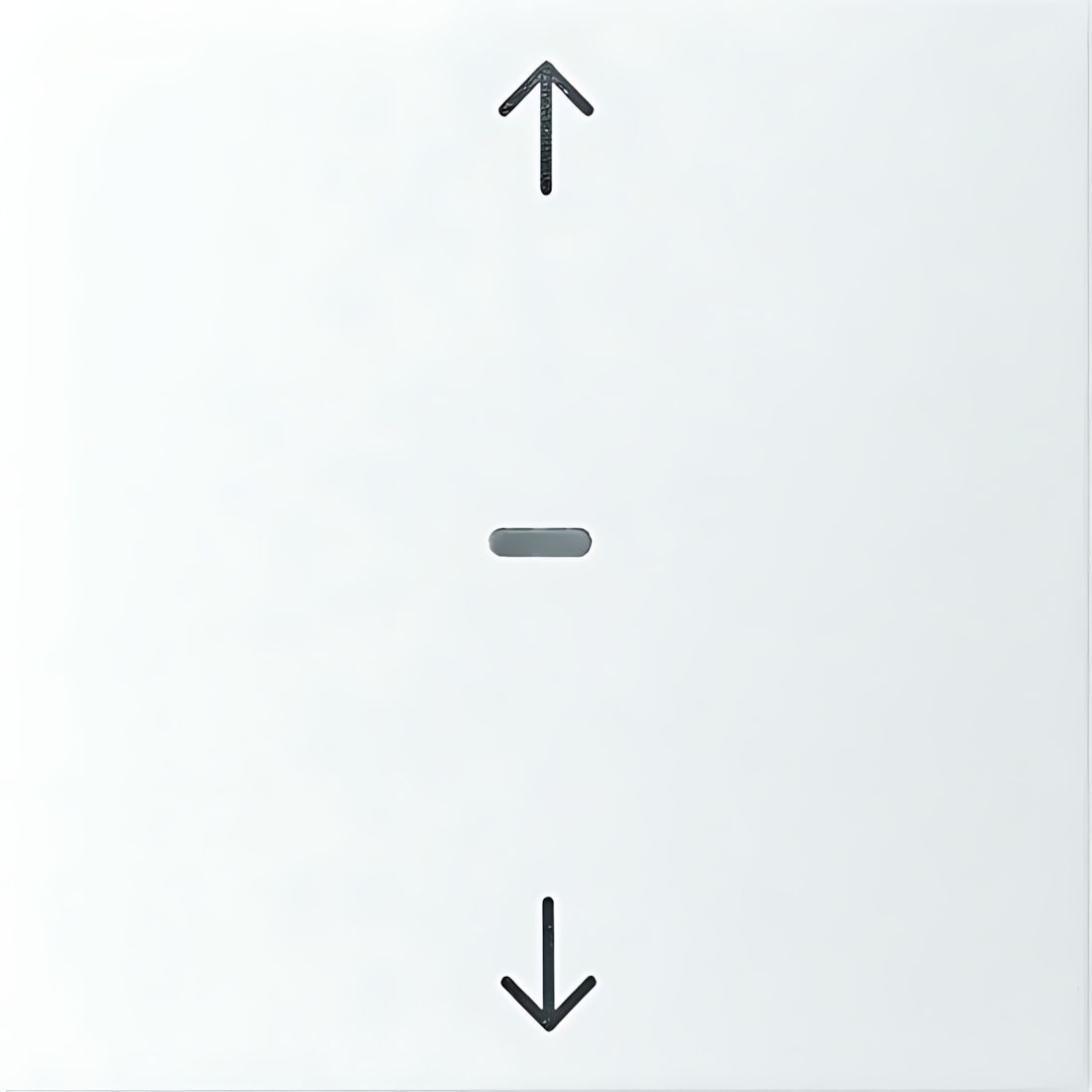 Berker Tastsensor Abdeckung 80961299