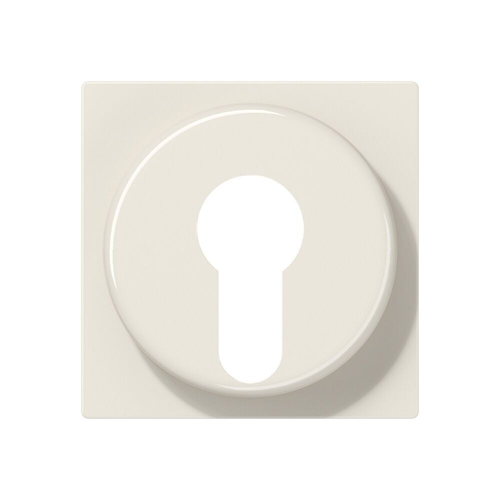 Jung Abdeckung Schlüsselschalter A 528 PL 