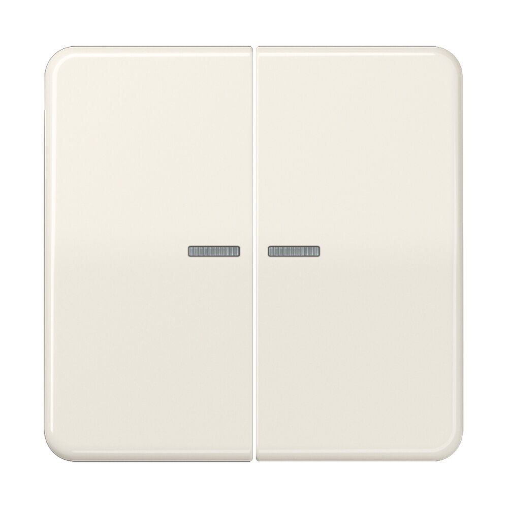 Jung Wippe CD 595 KO5BF