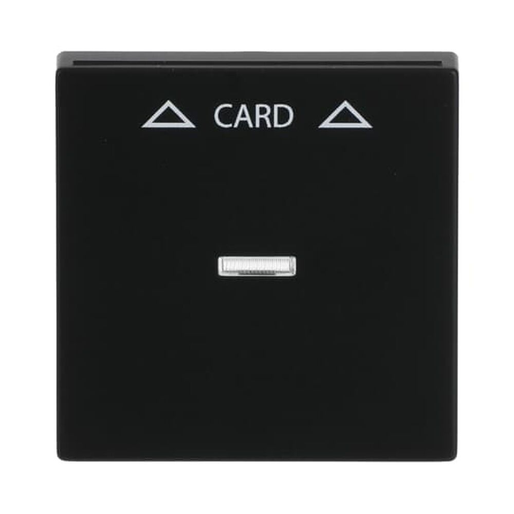 Busch-Jaeger Zentralscheibe 1792-885 Nr. 2CKA001710A3905