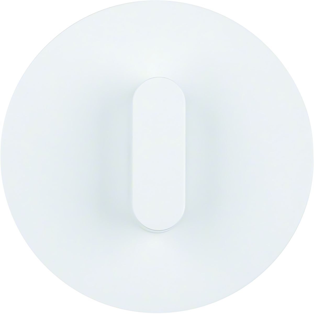 Berker Abdeckplatte 1001208900