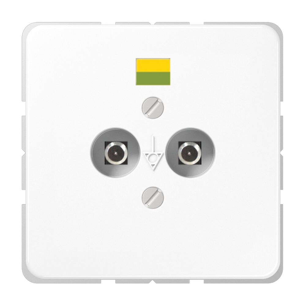 Jung Potentialausgleich Steckdose CD 565-2 WW